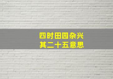 四时田园杂兴 其二十五意思